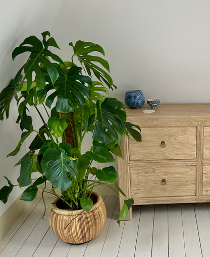 Ferringhi Chest of Drawers. Reclaimed Elm. 6 Drawers
